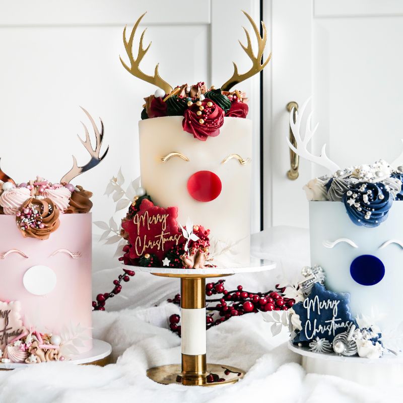 Mini Rudolf Cake LIVE ZOOM Demo with ChellBells Cakes